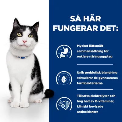 Produktfördelar: lättsmält sammansättning, prebiotisk blandning för tarmbakterier, tillsatta elektrolyter och B-vitaminer, kliniskt bevisade antioxidanter.