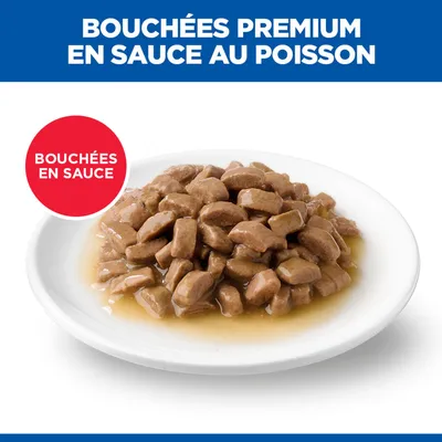 Bouchées Premium en sauce avec du poisson, servies sur une assiette blanche. Cercle rouge avec texte : Bouchées en sauce. Bouchées Premium en sauce avec du poisson, servies sur une assiette blanche. Cercle rouge avec texte : Bouchées en sauce.