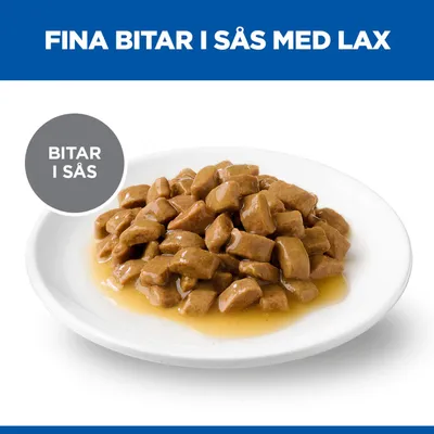 Fina bitar i sås med lax, serverade på en vit tallrik. Text: Bitar i sås.