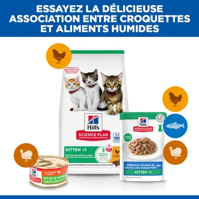 Hill's Science Plan Kitten <1 aliments secs et humides, variétés au poulet, à la dinde et au poisson. Trois chats sont représentés sur l'emballage. Hill's Science Plan Kitten <1 aliments secs et humides, variétés au poulet, à la dinde et au poisson. Trois chats sont représentés sur l'emballage.