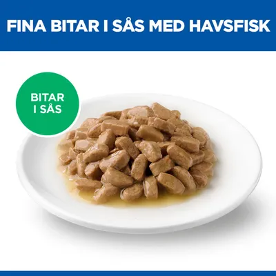 Fina bitar i sås med havsfisk. Bitar i sås på en vit tallrik.