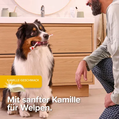 beaphar Zahnpflege Set für Welpen