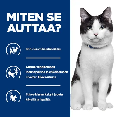 Grafiikka tekstillä: 88 % lemmikeistä laihtui. Auttaa ylläpitämään ihannepainoa ja ehkäisemään nivelten ylikuormitusta. Tukee kissan kykyä kävellä, liikkua ja hypätä. Grafiikka tekstillä: 88 % lemmikeistä laihtui. Auttaa ylläpitämään ihannepainoa ja ehkäisemään nivelten ylikuormitusta. Tukee kissan kykyä kävellä, liikkua ja hypätä.
