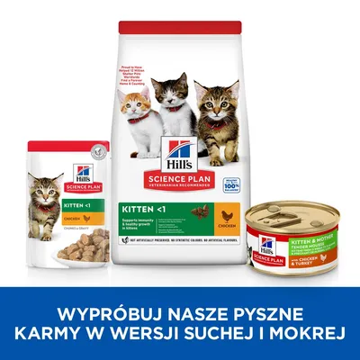 Hill's Science Plan Kitten & Mother delikatny mus z kurczakiem i indykiem