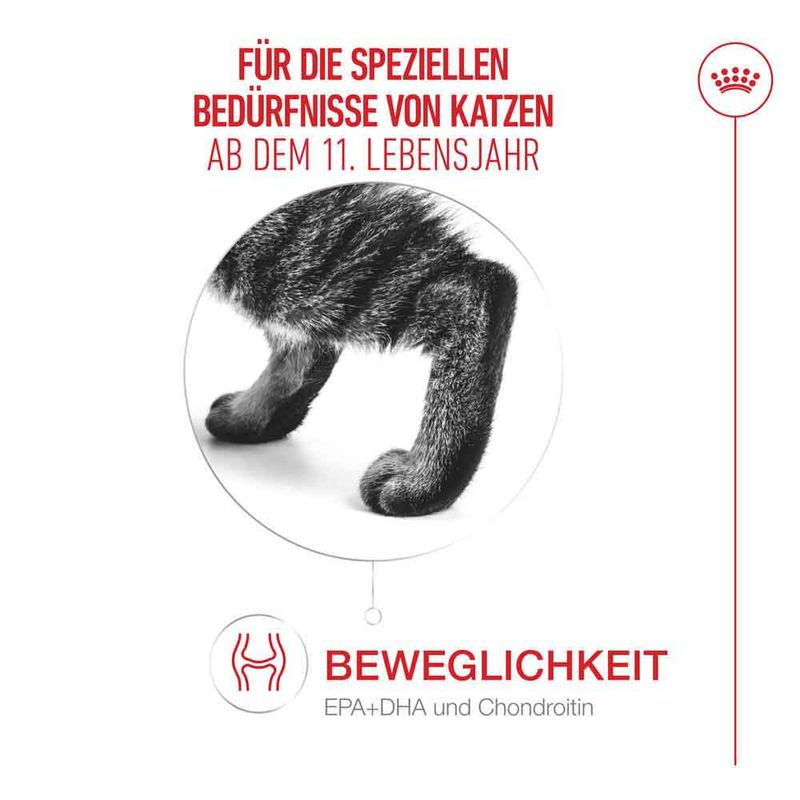 Royal Canin Ageing 11+ in Soße