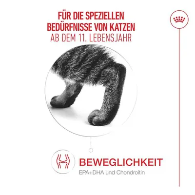 Royal Canin Ageing 11+ in Soße