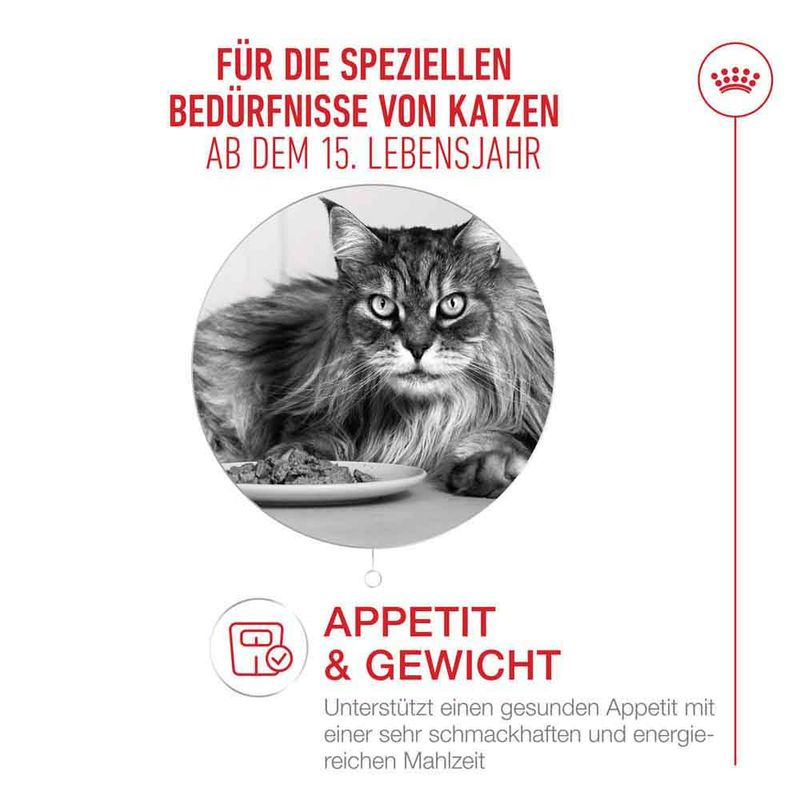 Royal Canin Ageing 15+ in Soße