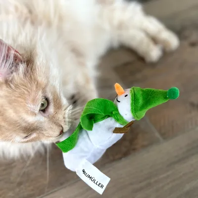 Aumüller Coussin Bonhomme de neige Frozen Fritz pour chat