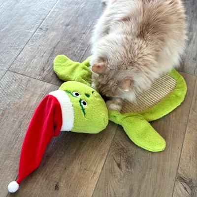 Aumüller Muffel Tapis à gratter en sisal avec herbe à chat