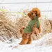 Rukka Wooly Knitwear, oliv