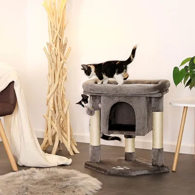 Lionto Scratching Post - 60cm