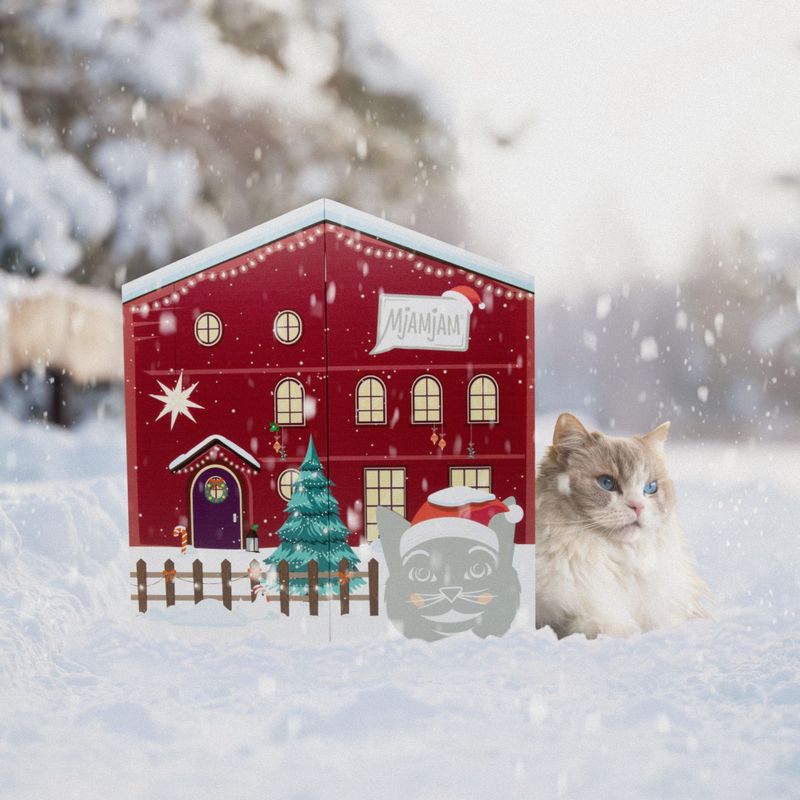 MjAMjAM Adventskalender für Katzen