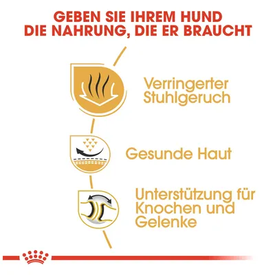 Geben Sie Ihrem Hund die Nahrung, die er braucht: Verringerter Stuhlgeruch, gesunde Haut, Unterstützung für Knochen und Gelenke.