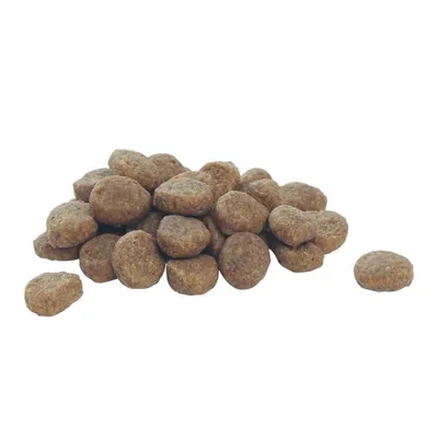 Кръгли гранули суха храна за домашни любимци, подредени на купчина върху бял фон. Не се виждат марки или опаковка.