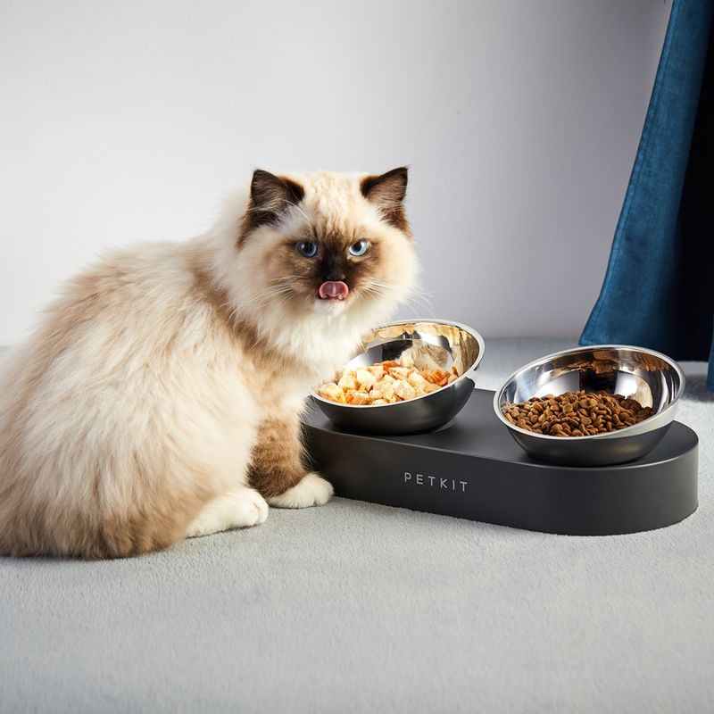 Petkit Fresh Nano Metal 15° verstellbarer Futternapf für Haustiere