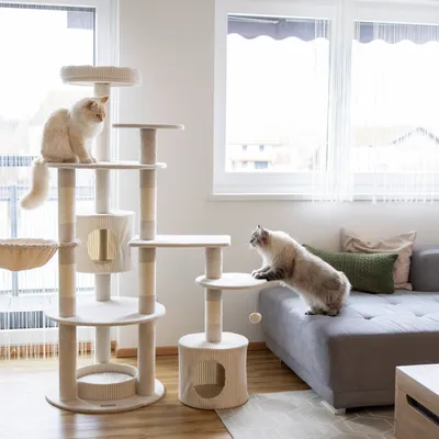 Kerbl Pet Arbre à chat Annika, beige