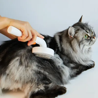 Petkit Pflegebürste für Haustiere 2.0