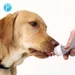 Petlando Yummy Love Tub de alimentare, gri