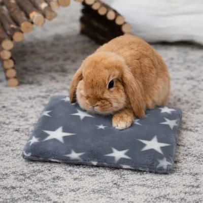 Vetbed® Mikrowellen Heizkissen Hottie, grau mit Sternen Vetbed® Mikrowellen Heizkissen Hottie, grau mit Sternen