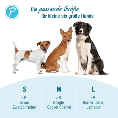 Petlando Outdoor Halsband, orange