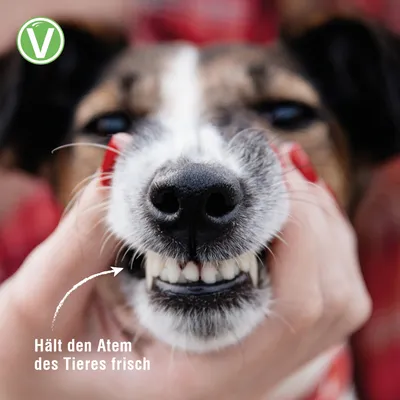 Vetlando tandvårdsspray