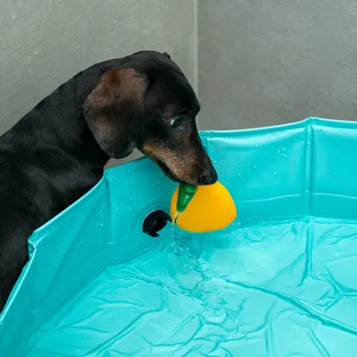 TIAKI hračky do vody ovocie