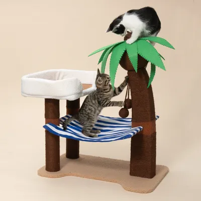 TIAKI krabpaal palmboom met gestreepte hangmat TIAKI krabpaal palmboom met gestreepte hangmat