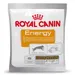 Royal Canin Energy