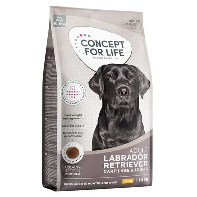 Concept for Life Labrador Retriever Adult