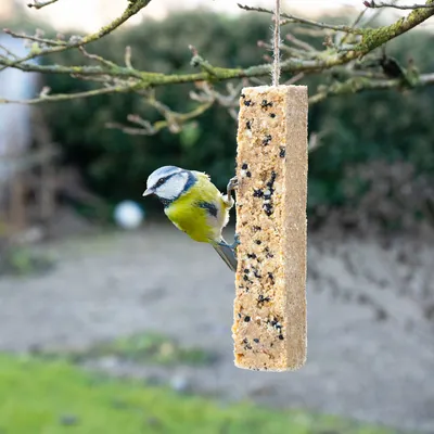 JR Farm 4x Peanut Sticks sans coques 640 g