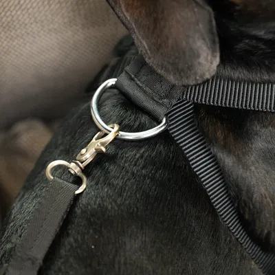 TIAKI Φουσκωτό Κάθισμα Αυτοκινήτου TIAKI Φουσκωτό Κάθισμα Αυτοκινήτου