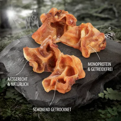 Wolf of Wilderness Schweineohrmuscheln "Vast Pasture" - 5 kg Wolf of Wilderness Schweineohrmuscheln "Vast Pasture" - 5 kg