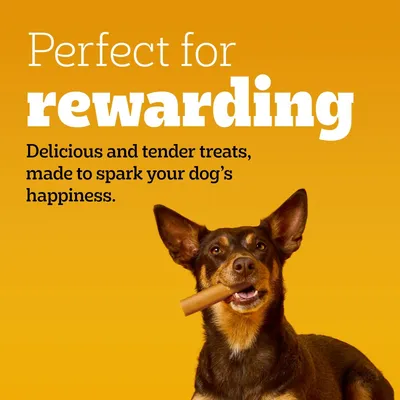 Pedigree Dog Treats Party Pack - 241g