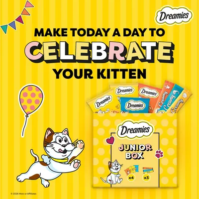 Dreamies Cat Treats Junior Box - 150g Dreamies Cat Treats Junior Box - 150g