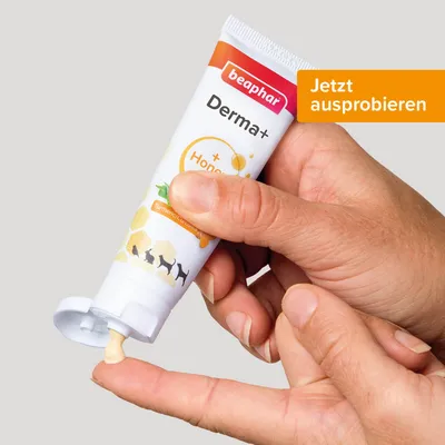 beaphar Derma Care Baume pour chien