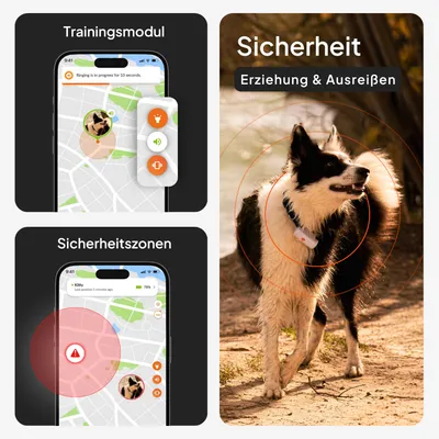 Weenect Haustier GPS Tracker XS für Hunde