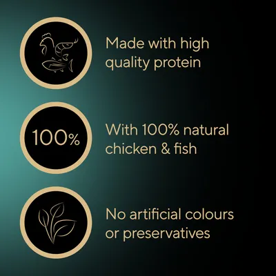 Sheba Fillets in Gravy Trays Multibuy