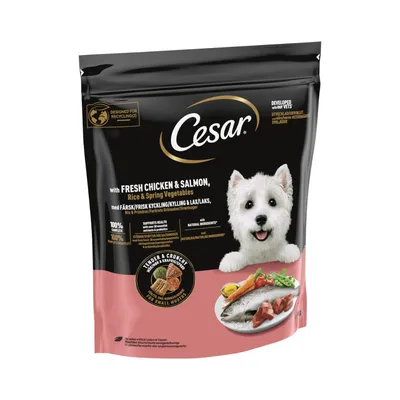 Cesar Adult with Chicken, Salmon & Vegetables