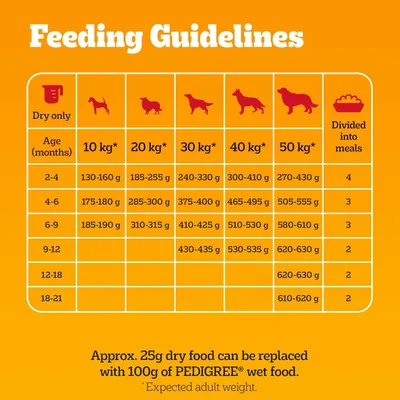 PEDIGREE® COMPLETE™ Puppy Beef & Vegetables