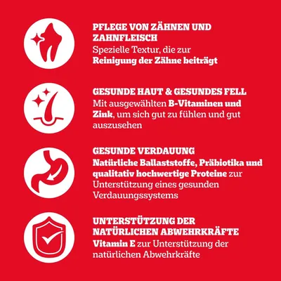 Pedigree Adult mit Rind & Gemüse