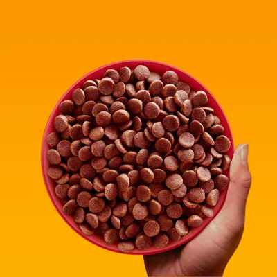 Pedigree Professional Nutrition Mini Adult con vacuno y verduras