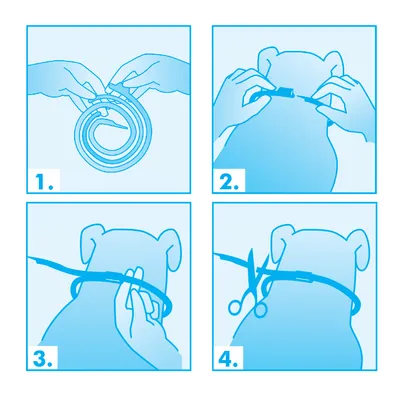 Anleitung zur Anpassung eines Halsbands: 1. Entrollen des Bands, 2. Anlegen am Hals des Tieres, 3. Einstellen der Größe, 4. Abschneiden des überschüssigen Bands.