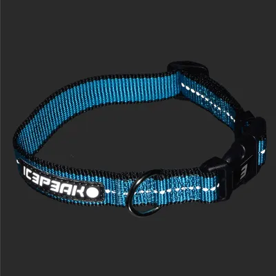 Icepeak Pet® Highway Basic Halsband, aqua
