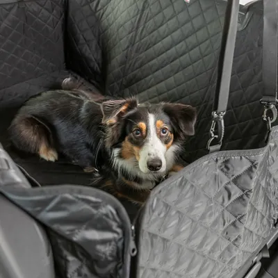 Trixie Couverture de protection pour voiture