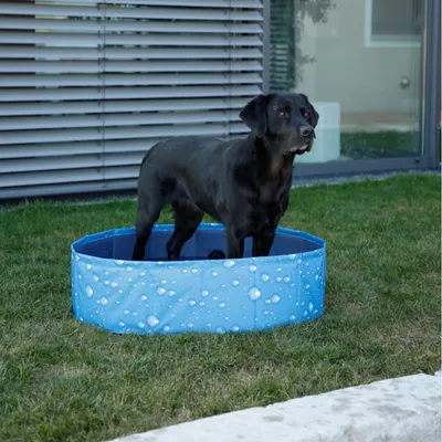 Kerbl Pet bazen za pse Bubble