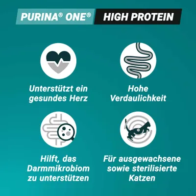 PURINA ONE High Protein. Unterstützt ein gesundes Herz, hohe Verdaulichkeit, hilft das Darmmikrobiom zu unterstützen, für ausgewachsene sowie sterilisierte Katzen. PURINA ONE High Protein. Unterstützt ein gesundes Herz, hohe Verdaulichkeit, hilft das Darmmikrobiom zu unterstützen, für ausgewachsene sowie sterilisierte Katzen.