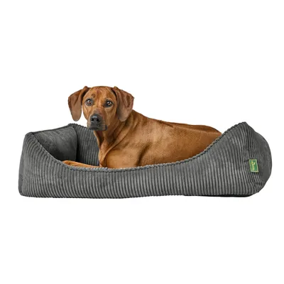Hunter Ergonomische Hondensofa Corbie Hunter Ergonomische Hondensofa Corbie