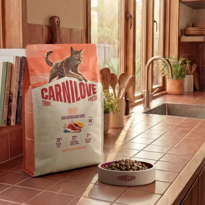 Carnilove True Fresh marhahús sterilizált macskáknak. 70% friss marhahús, 23% zöldség, gyümölcs, gyógynövény, 7% zsír, olajok, omega. Friss marhahúsból készült. Carnilove True Fresh marhahús sterilizált macskáknak. 70% friss marhahús, 23% zöldség, gyümölcs, gyógynövény, 7% zsír, olajok, omega. Friss marhahúsból készült.