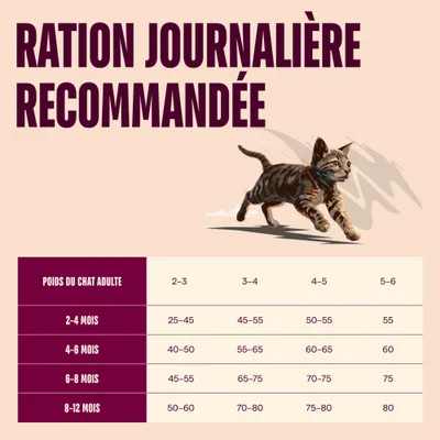 Carnilove True Fresh Kitten Bœuf