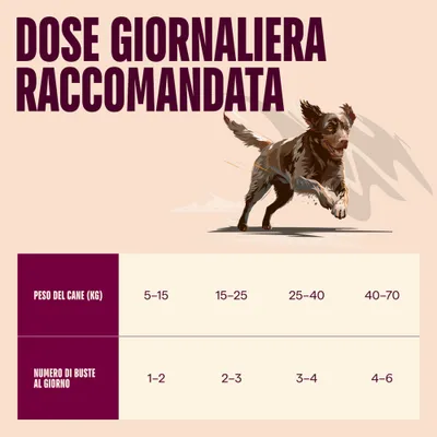 Carnilove Dog - Paté in Buste 4 x 300 g